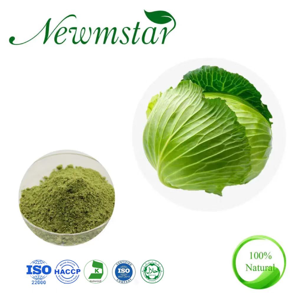 包菜提取物 包菜提取物