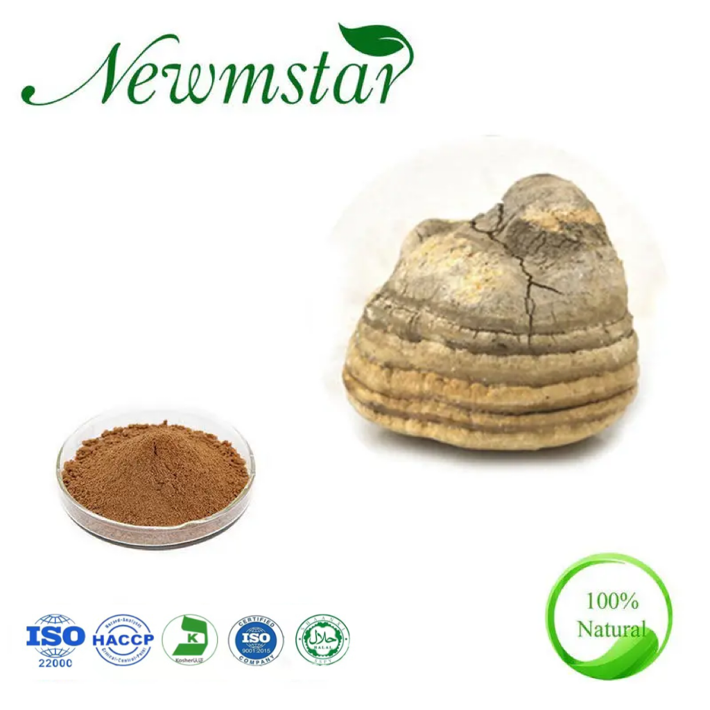 19. Extracto de agarikon