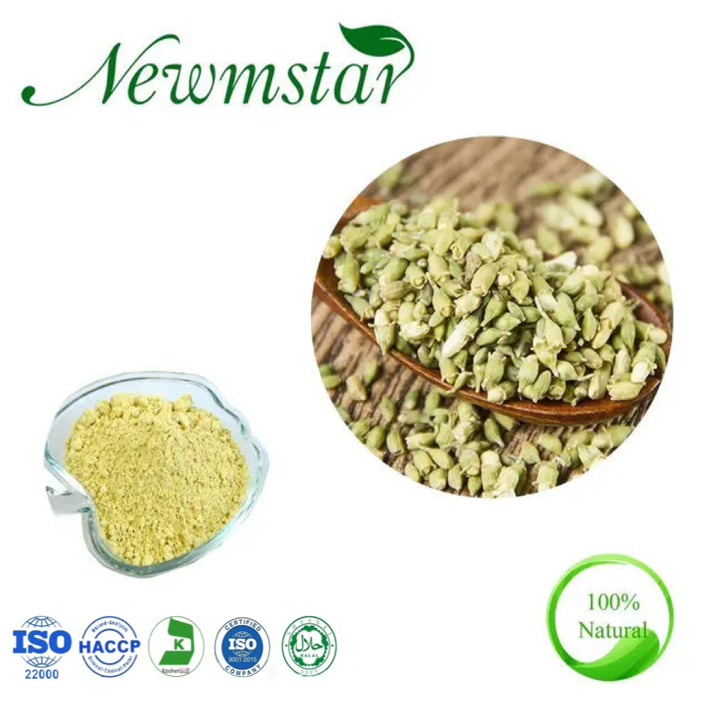 40. Extracto de Fructuss Sophorae