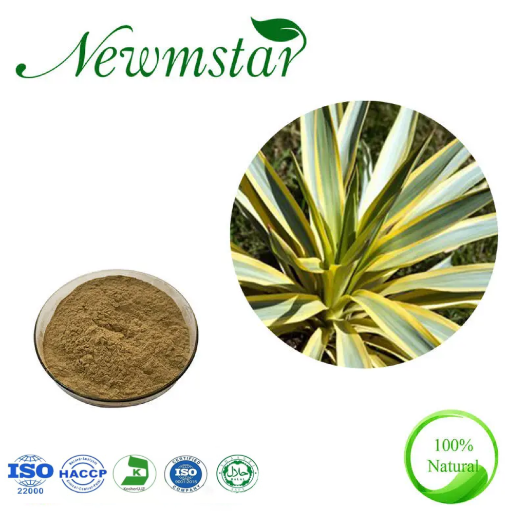 14. Saponinas Yuca Schidigra