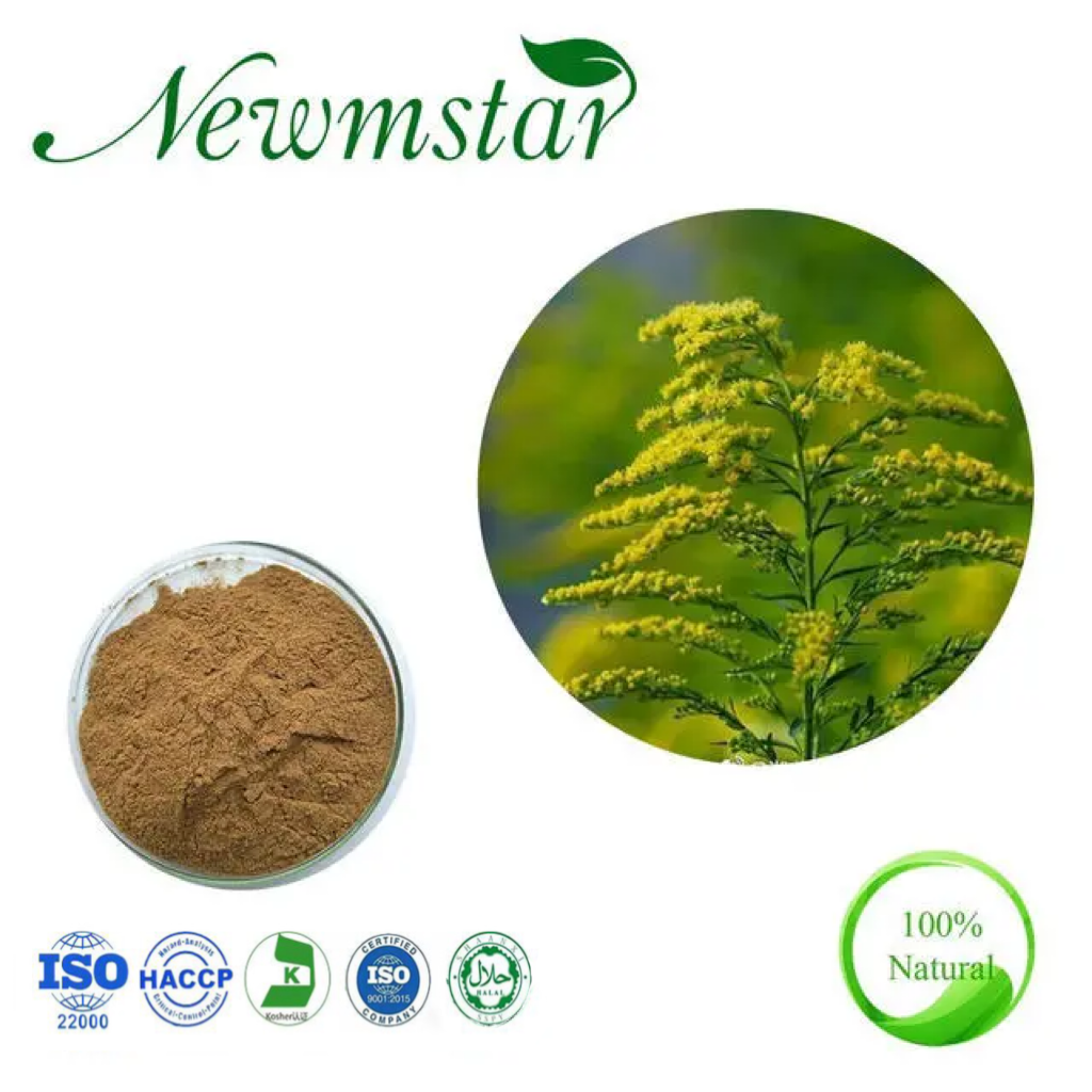 3. Extracto de Solidago Virgaurea